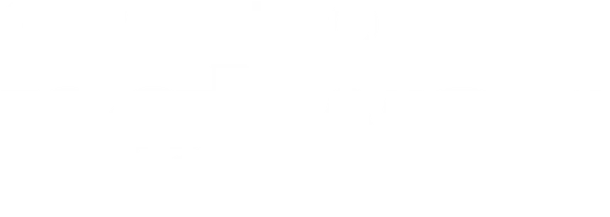 Grupo Netway